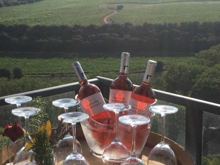 Wine Tasting Tips for Beginners and Enthusiasts