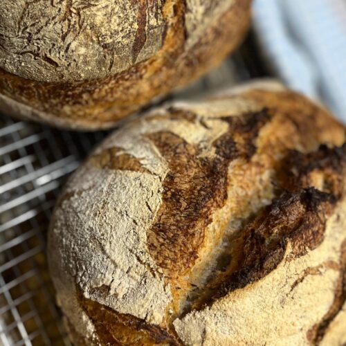 rustic rye sourdough loaf