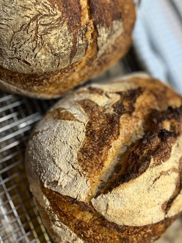 rustic rye sourdough loaf